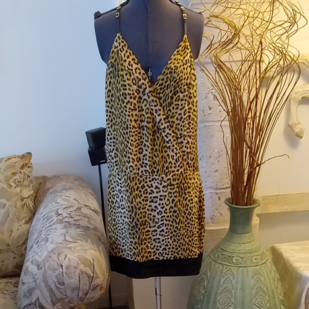 Animale Brazilian Silk Dress